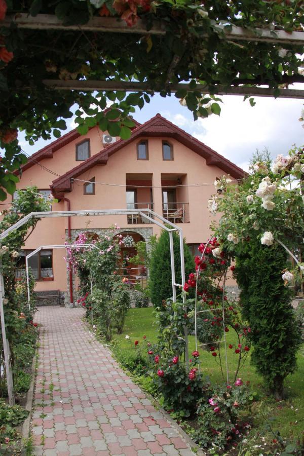 Pensiunea Andreea 3*