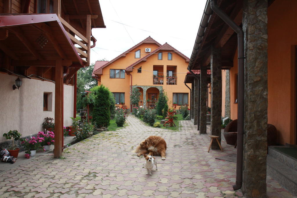 Maison d'hôtes Pensiunea Andreea 3*